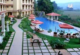 dolphin bay beach resort goa