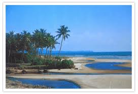 benaulim beach in south goa